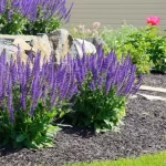 The Ultimate Seasonal Marketing Calendar for Lawn Care Companies lawn care marketing calendar