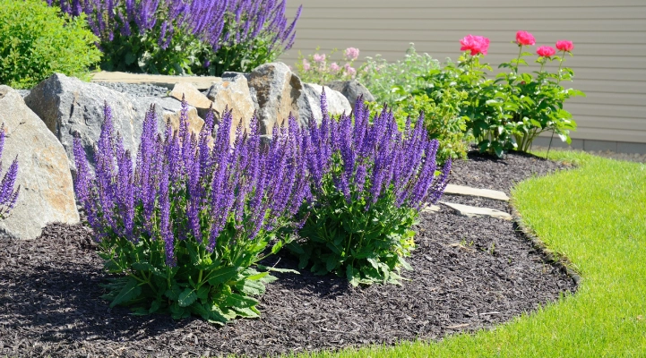 lawn care marketing calendar